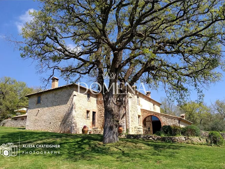 Immagine 40 di Rustico / casale in vendita  a Monteriggioni