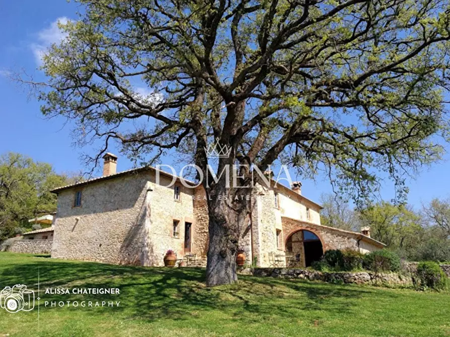 Immagine 1 di Rustico / casale in vendita  a Monteriggioni