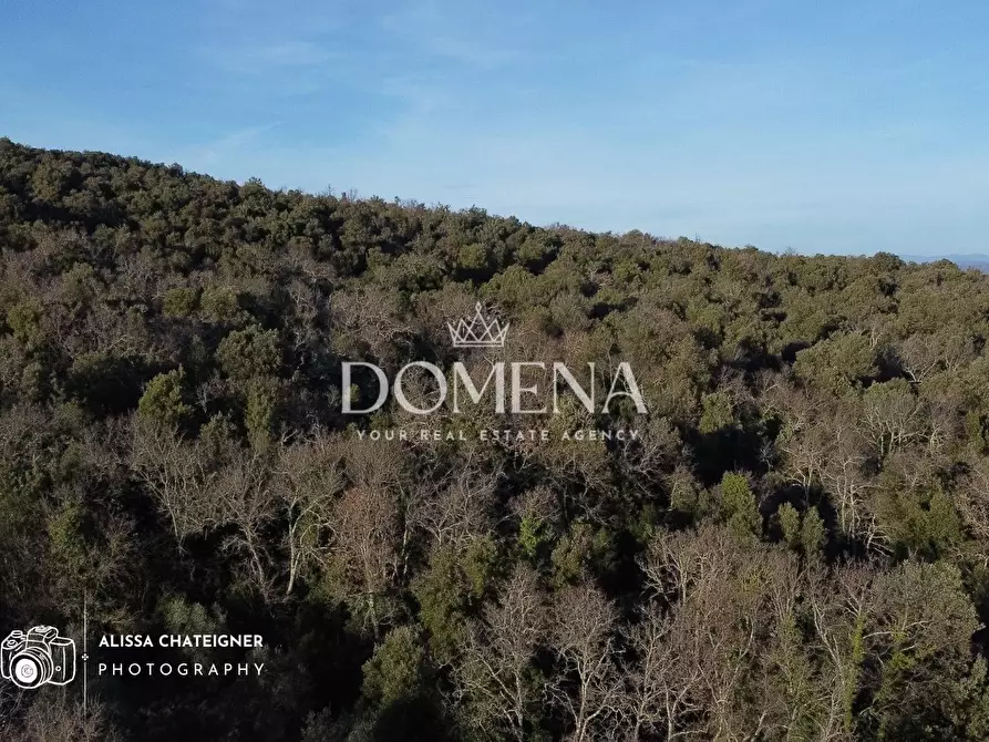 Immagine 6 di Rustico / casale in vendita  a Monteriggioni