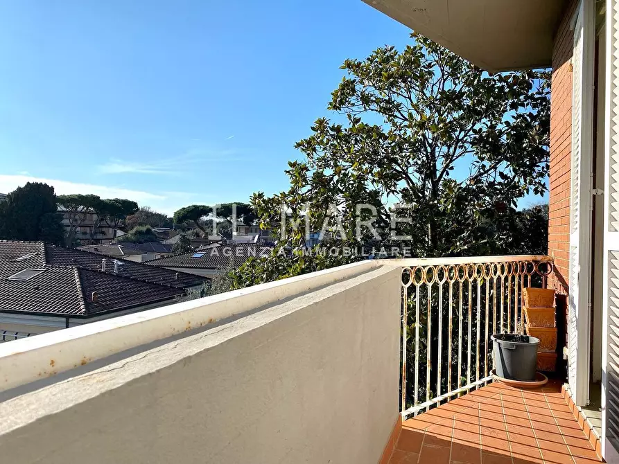 Immagine 6 di Appartamento in vendita  a Massa