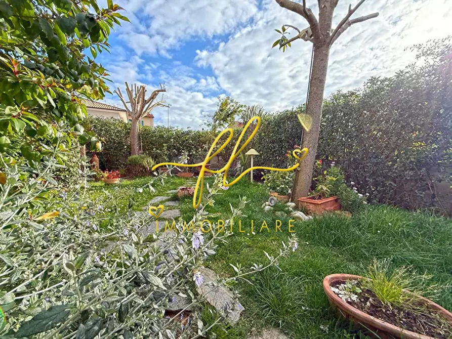 Immagine 46 di Appartamento in vendita  a Cecina