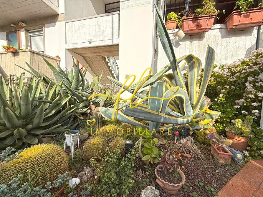 Immagine 41 di Appartamento in vendita  a Cecina