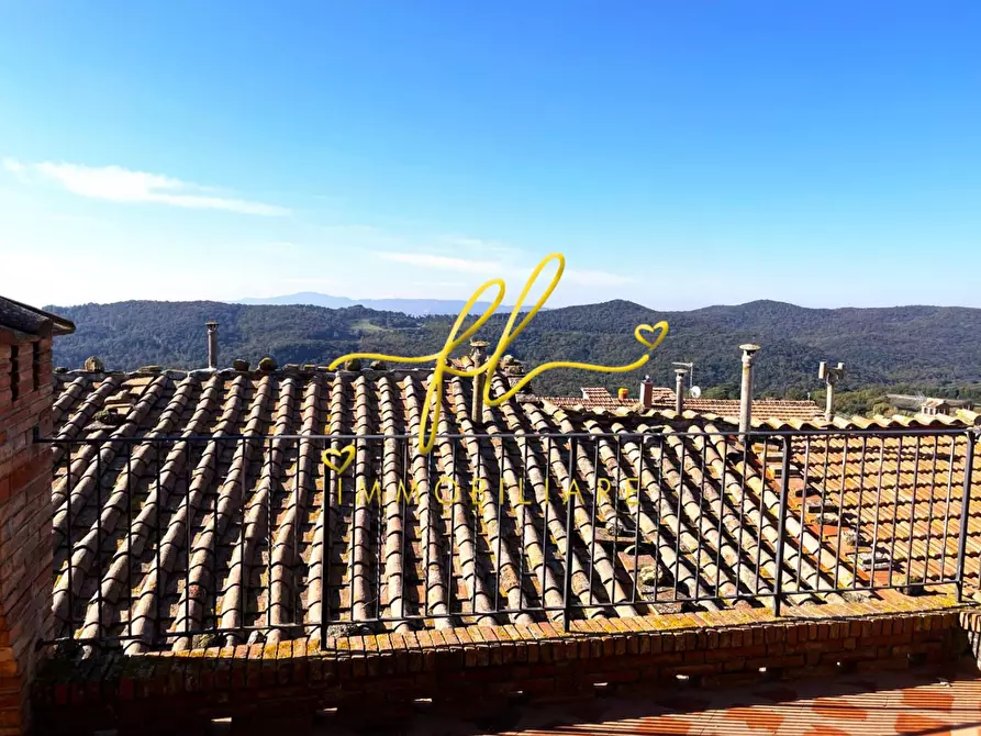 Immagine 5 di Terratetto in vendita  a Pomarance