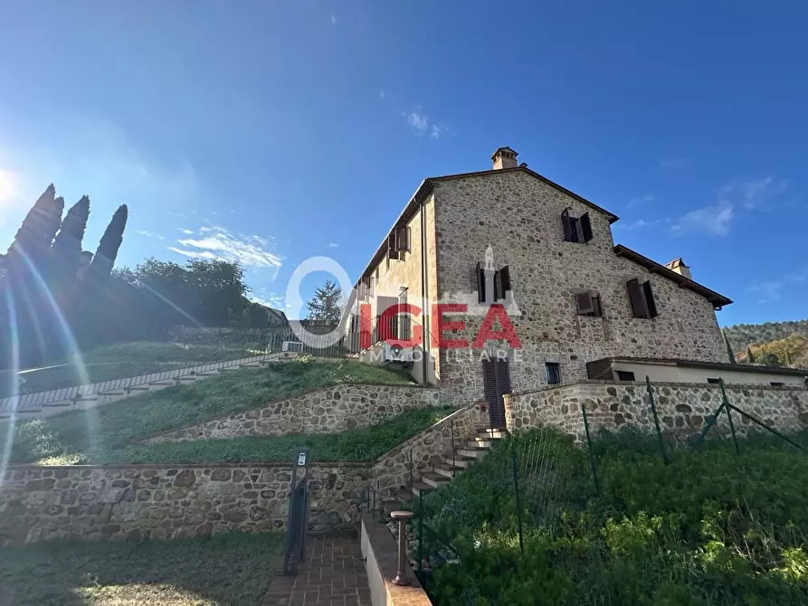 Immagine 11 di Appartamento in vendita  a Sovicille