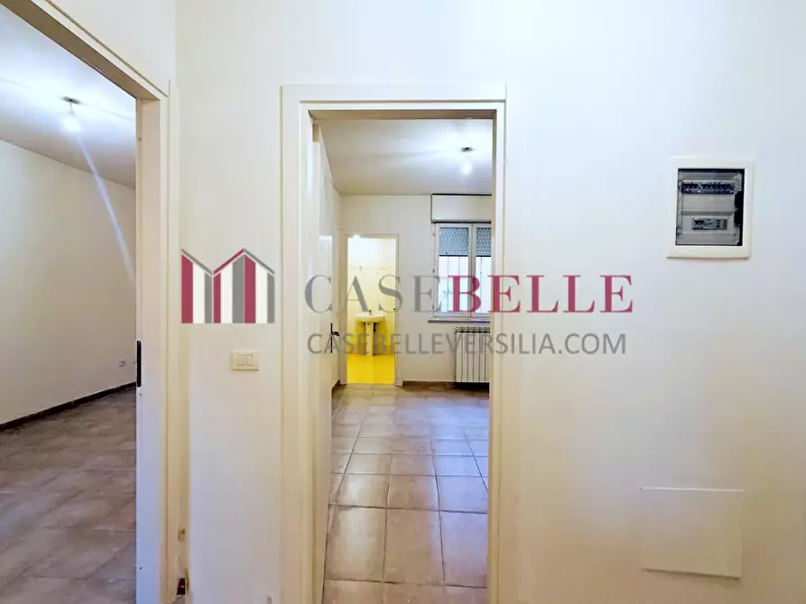 Immagine 20 di Appartamento in vendita  a Camaiore