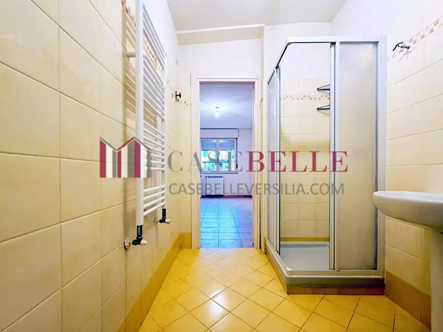 Immagine 29 di Appartamento in vendita  a Camaiore