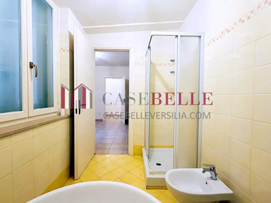 Immagine 23 di Appartamento in vendita  a Camaiore