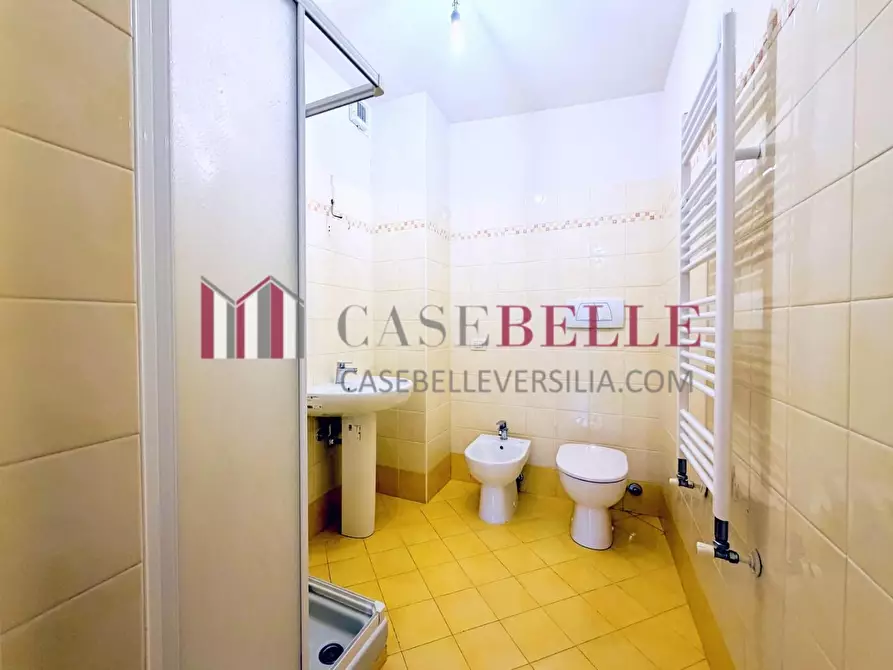 Immagine 27 di Appartamento in vendita  a Camaiore