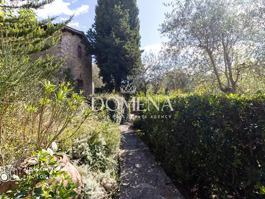 Immagine 43 di Porzione di casa in vendita  a Gaiole In Chianti