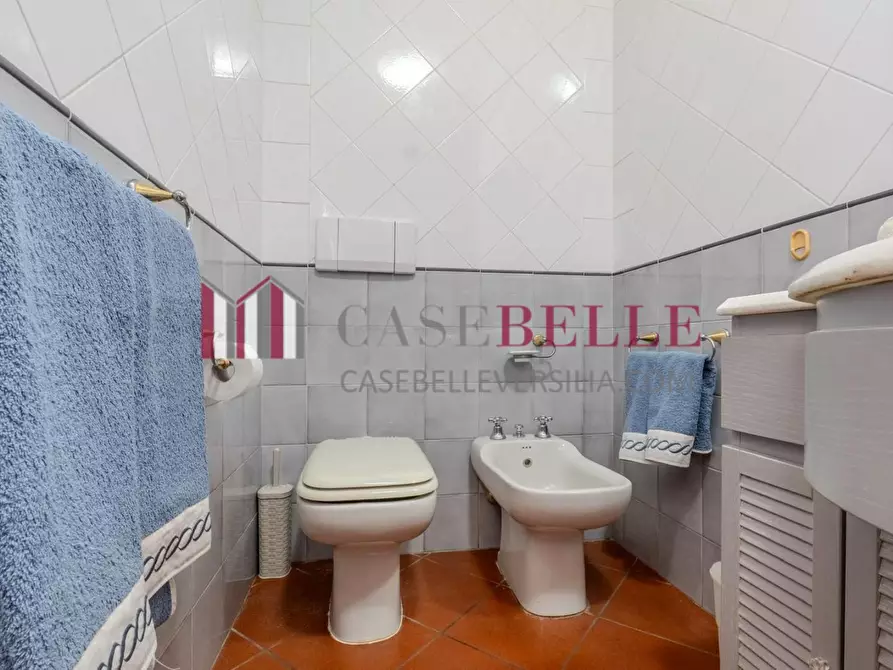 Immagine 25 di Villa in affitto  a Forte Dei Marmi