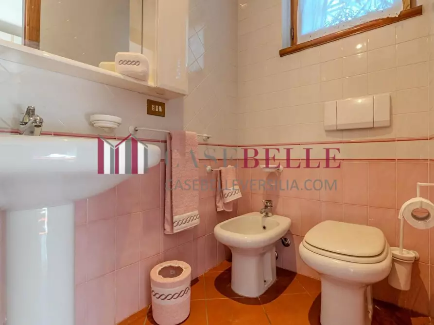 Immagine 39 di Villa in affitto  a Forte Dei Marmi