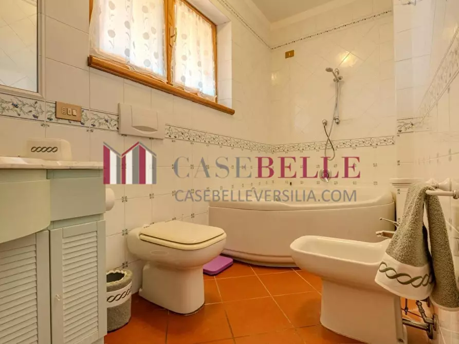 Immagine 40 di Villa in affitto  a Forte Dei Marmi