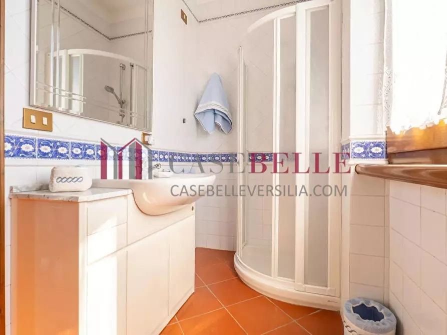 Immagine 44 di Villa in affitto  a Forte Dei Marmi