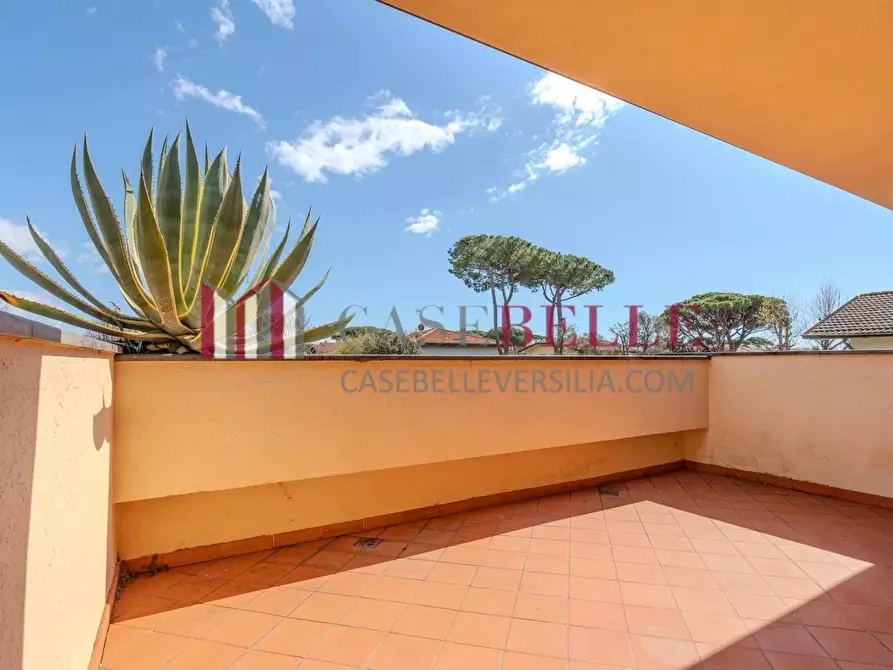 Immagine 23 di Villa in affitto  a Forte Dei Marmi