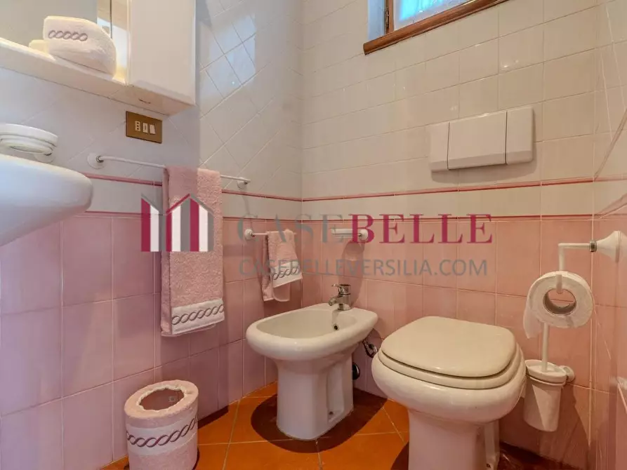 Immagine 37 di Villa in affitto  a Forte Dei Marmi