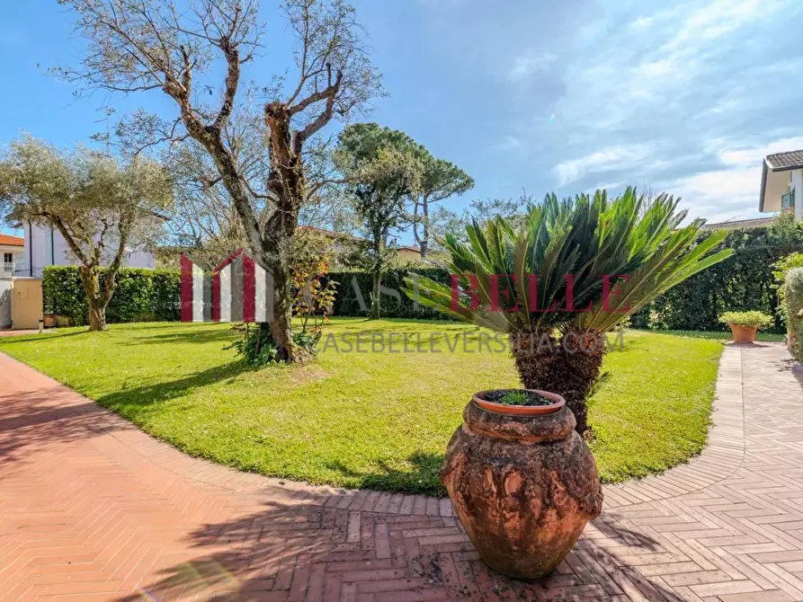 Immagine 5 di Villa in affitto  a Forte Dei Marmi