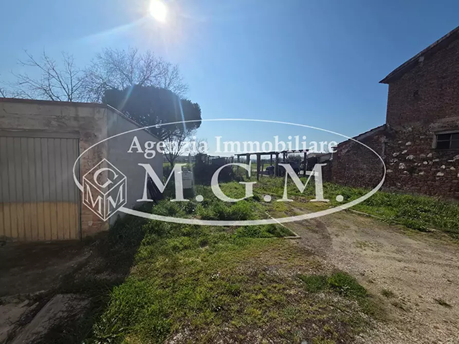 Immagine 24 di Terratetto in vendita  a Santa Maria A Monte