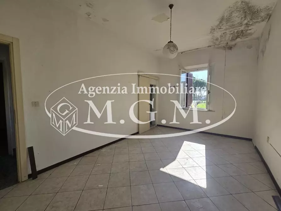 Immagine 17 di Terratetto in vendita  a Santa Maria A Monte