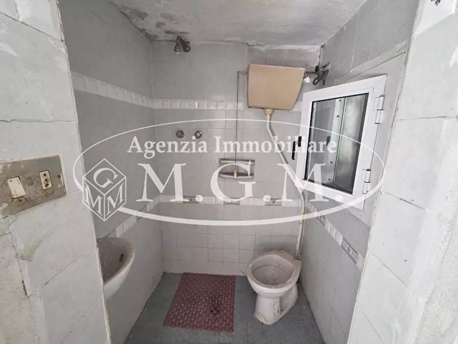 Immagine 18 di Terratetto in vendita  a Santa Maria A Monte