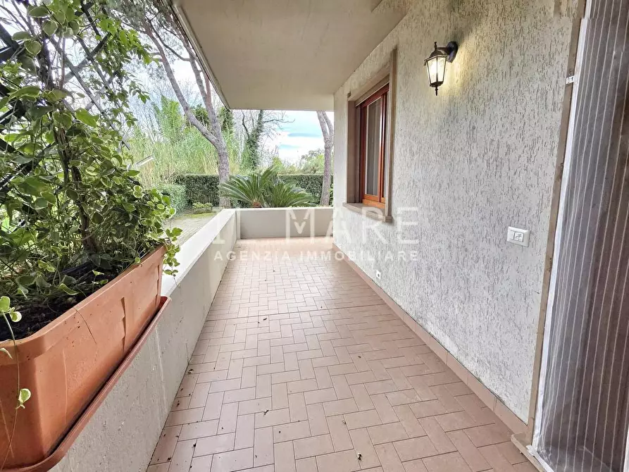 Immagine 4 di Appartamento in vendita  a Massa