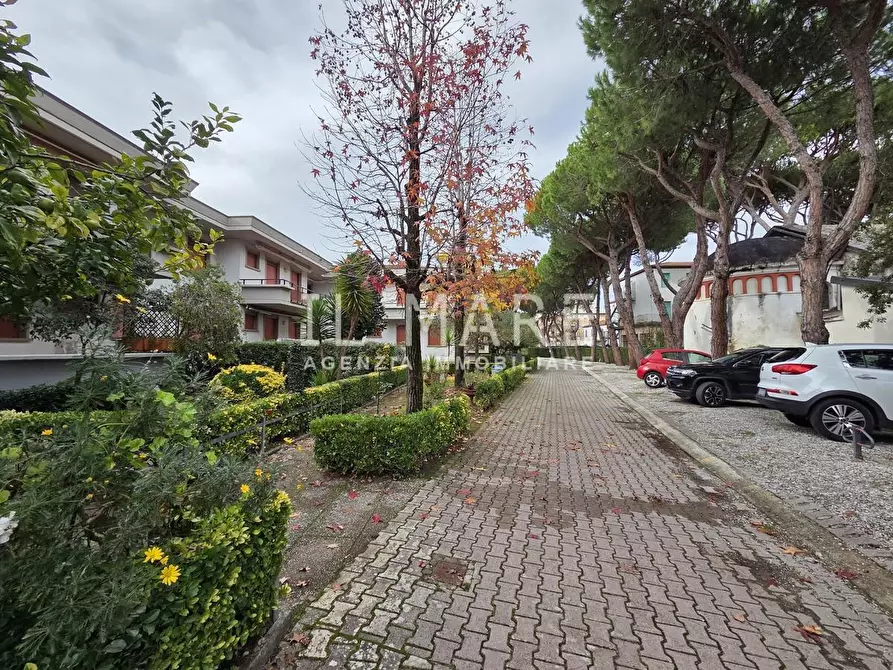 Immagine 27 di Appartamento in vendita  a Massa