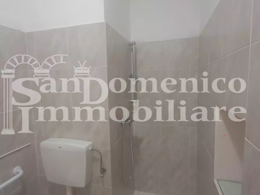 Immagine 6 di Laboratorio in vendita  a Vicopisano