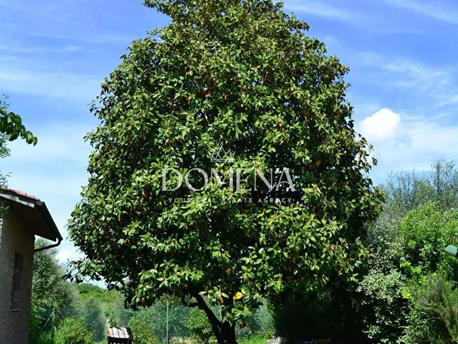 Immagine 5 di Villa in vendita  a Siena