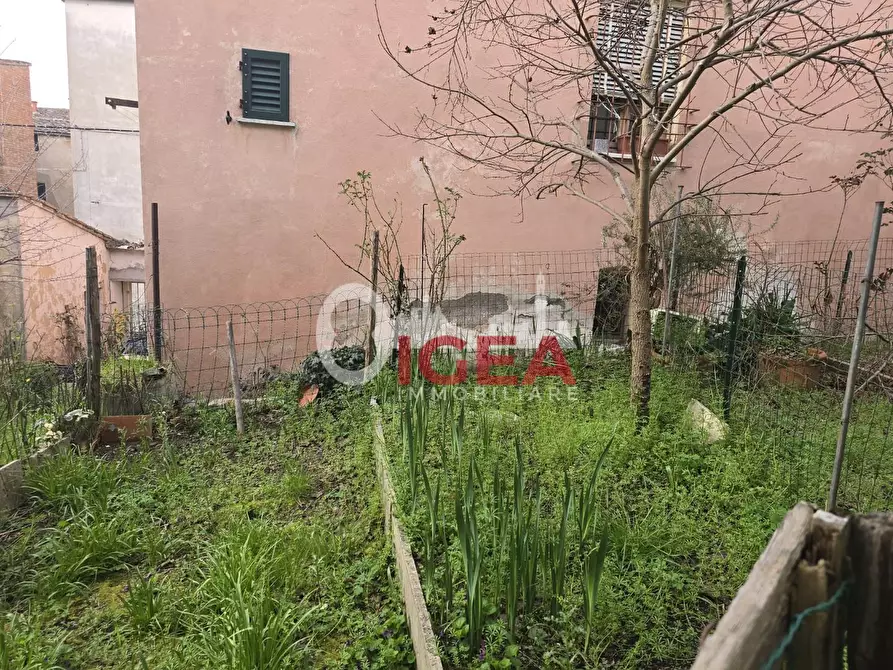 Immagine 40 di Appartamento in vendita  a Asciano