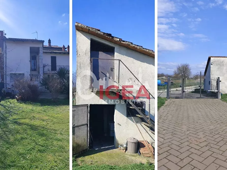 Immagine 3 di Appartamento in vendita  a Torrita Di Siena