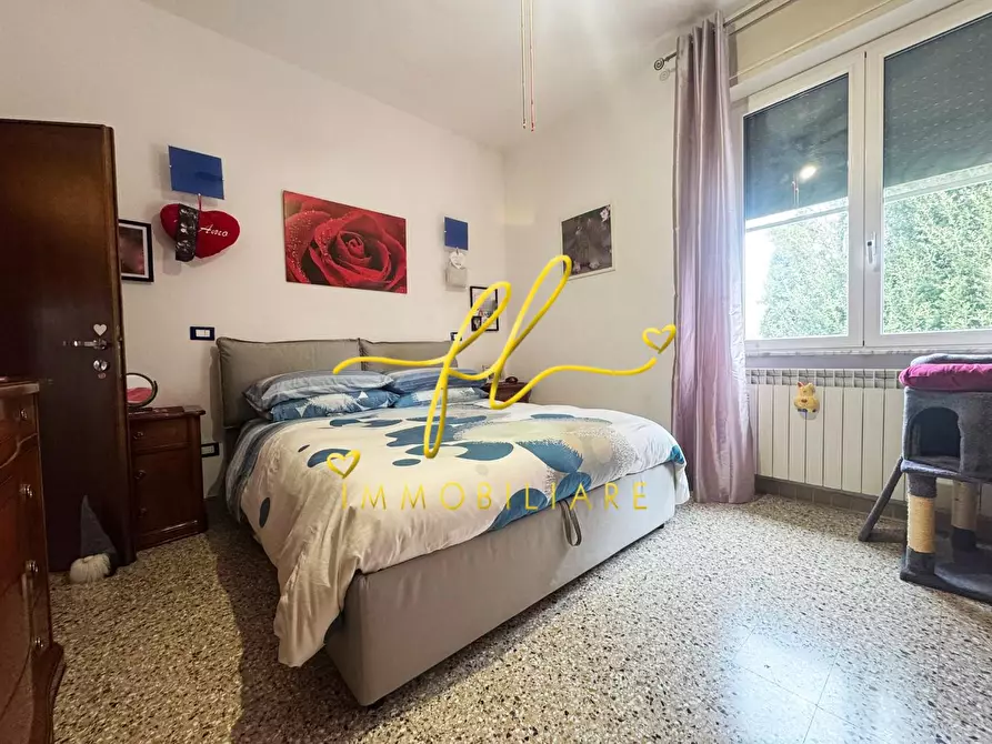 Immagine 14 di Appartamento in vendita  a Collesalvetti