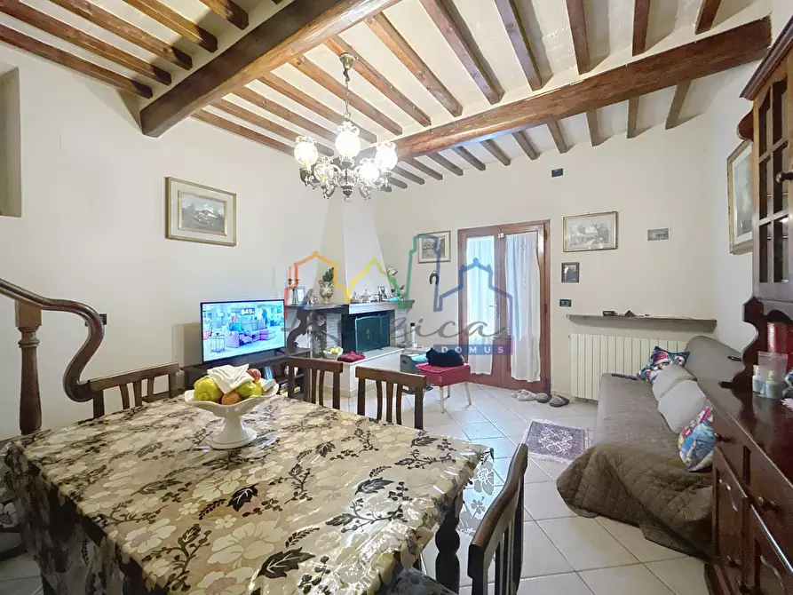 Immagine 3 di Terratetto in vendita  a Vecchiano