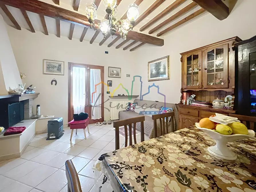 Immagine 4 di Terratetto in vendita  a Vecchiano