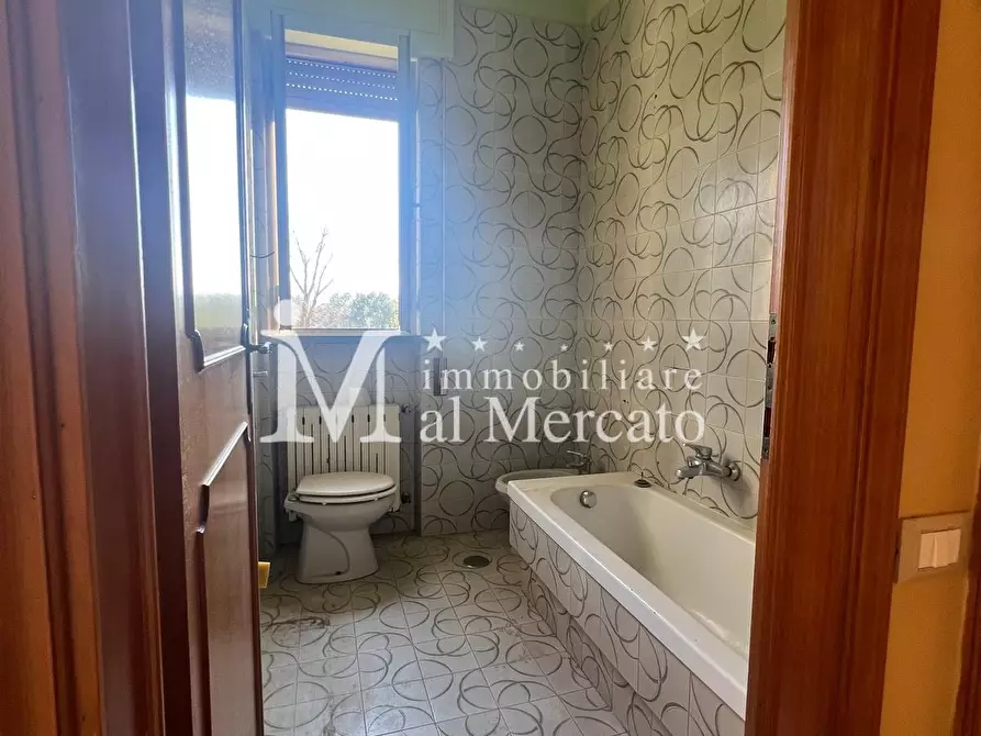 Immagine 11 di Appartamento in vendita  a Massarosa