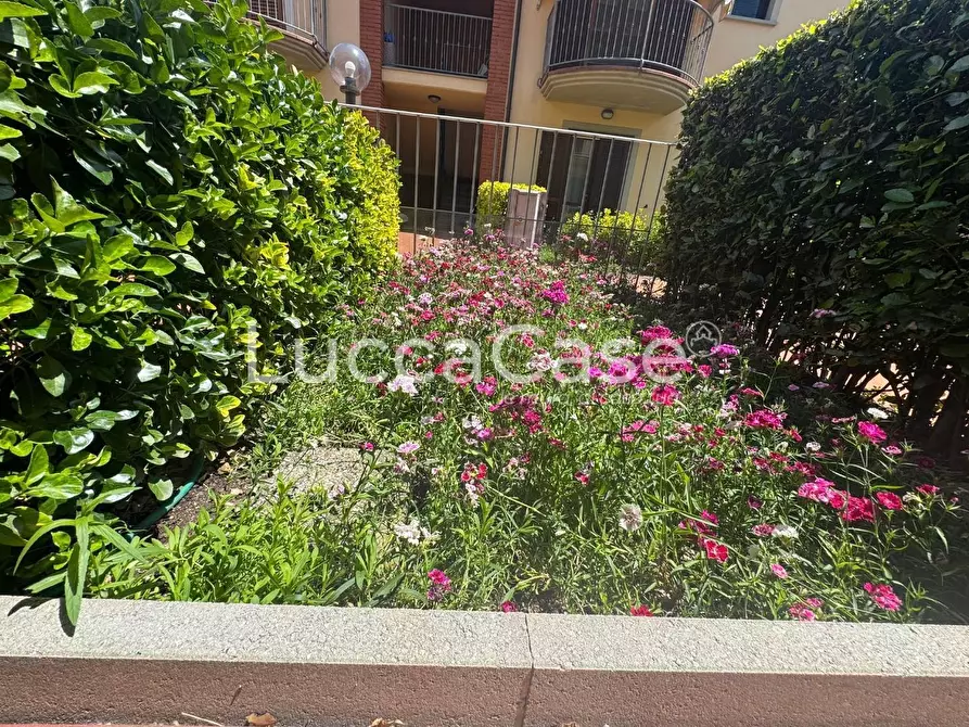 Immagine 23 di Villetta a schiera in vendita  a Porcari