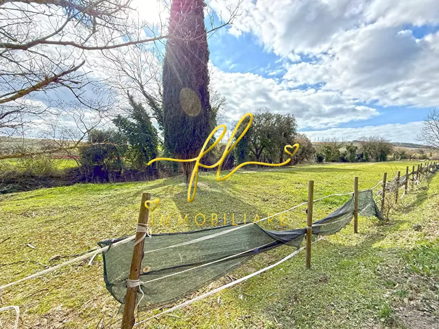 Immagine 3 di Terreno agricolo in vendita  a Castellina Marittima