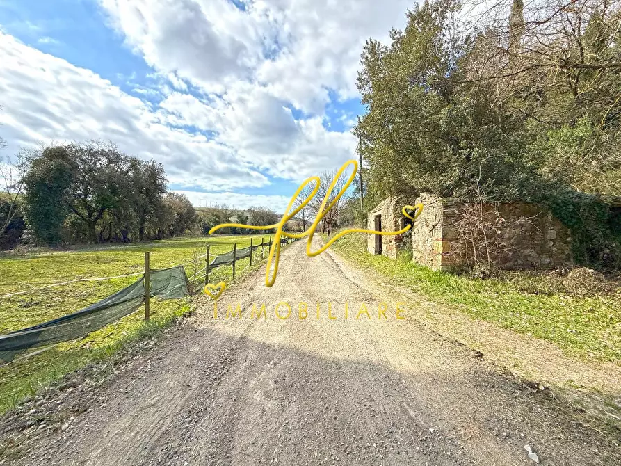 Immagine 2 di Terreno agricolo in vendita  a Castellina Marittima