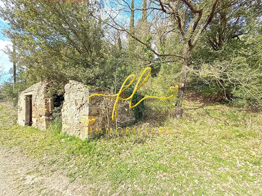terreno agricolo in vendita a Castellina Marittima