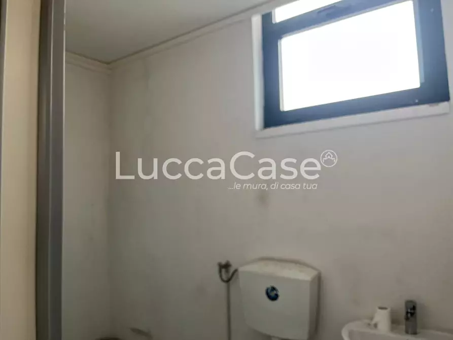 Immagine 11 di Attività artigianale in affitto  a Lucca