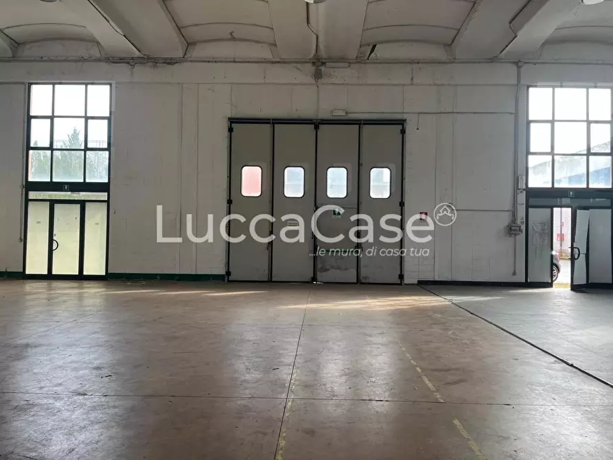 Immagine 1 di Attività artigianale in affitto  a Lucca