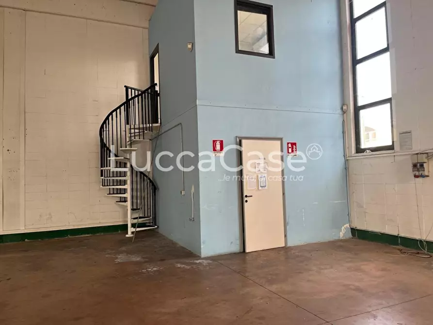 Immagine 5 di Attività artigianale in affitto  a Lucca