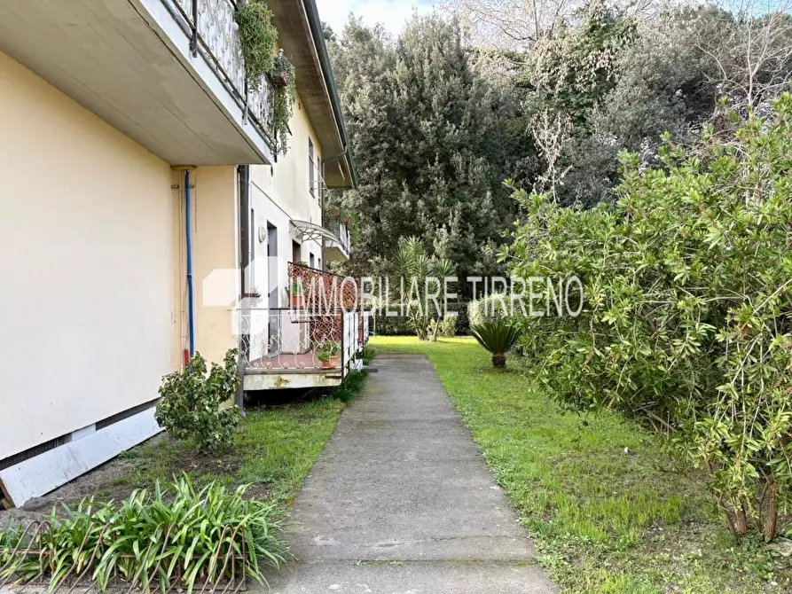 Immagine 4 di Appartamento in vendita  a Massa