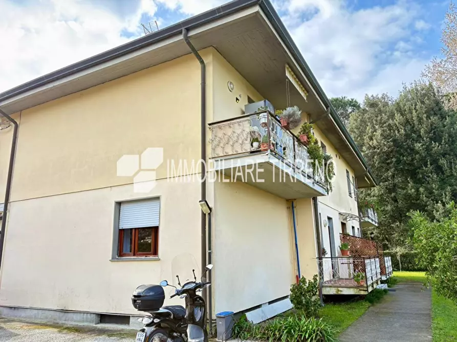 Immagine 3 di Appartamento in vendita  a Massa