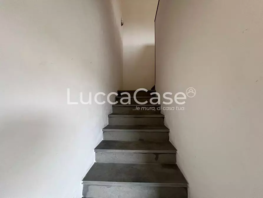 Immagine 17 di Appartamento in vendita  a Capannori