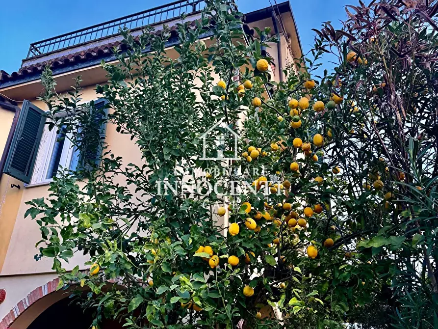 Immagine 31 di Appartamento in vendita  a Massa