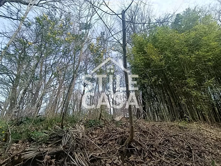 Immagine 33 di Casa indipendente in vendita  a Fucecchio