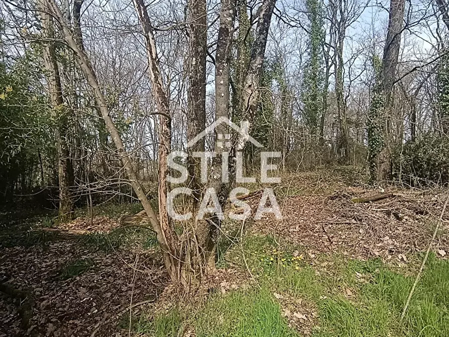 Immagine 38 di Casa indipendente in vendita  a Fucecchio