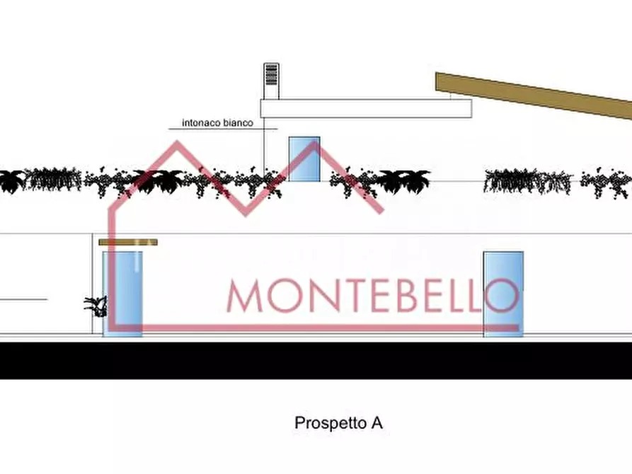 Immagine 54 di Villa in vendita  a Pietrasanta