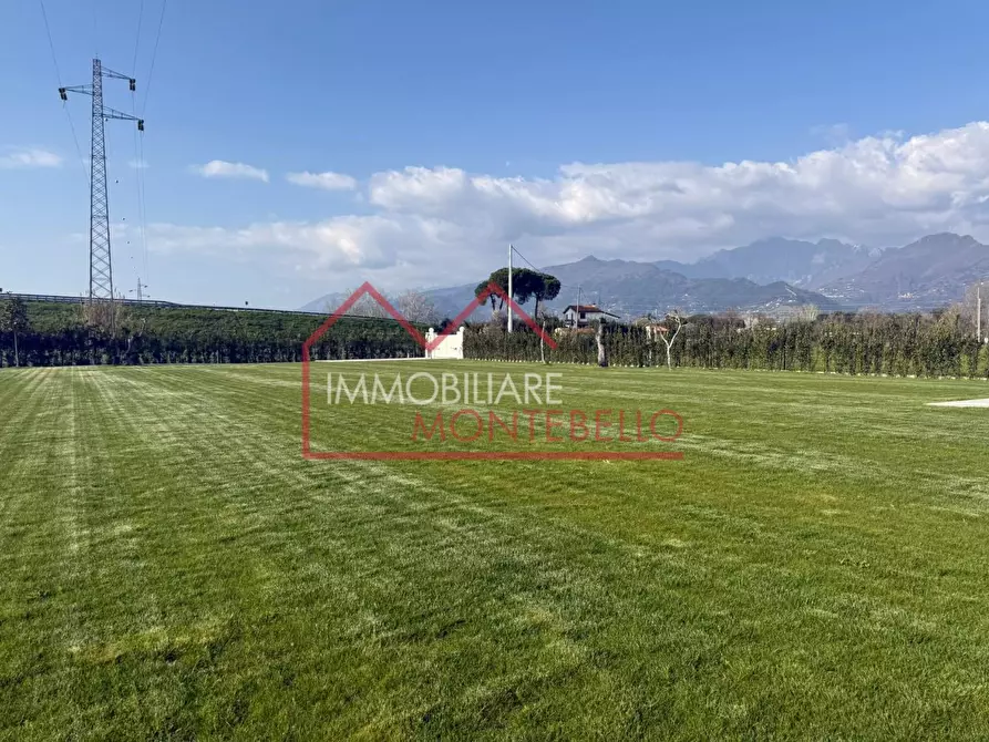 Immagine 14 di Villa in vendita  a Pietrasanta