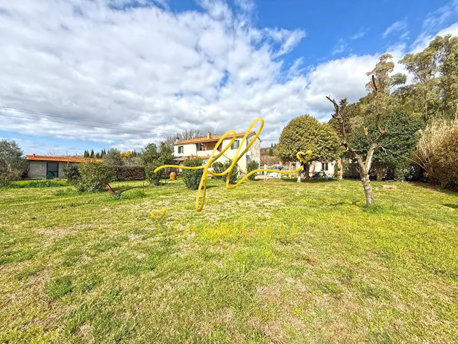 Immagine 4 di Porzione di casa in vendita  a Castellina Marittima