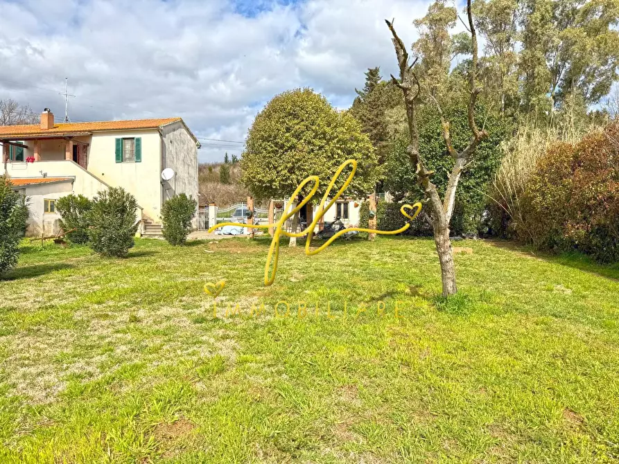 Immagine 5 di Porzione di casa in vendita  a Castellina Marittima